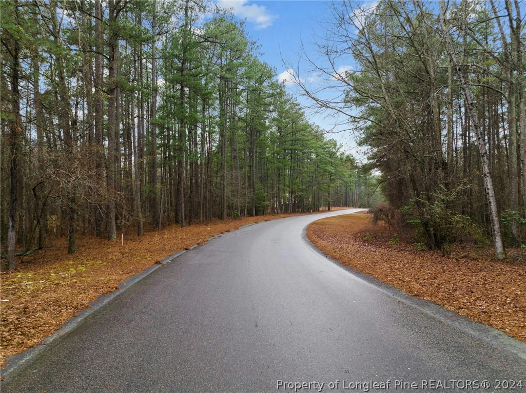 221 PEBBLE DR, WEST END, NC 27376, photo 1 of 13