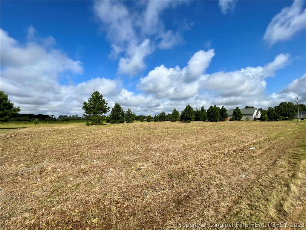 GRASSY LANE, SAINT PAULS, NC 28384, photo 1 of 5