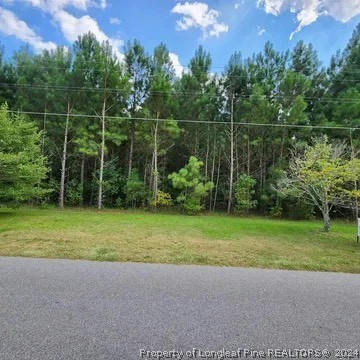 4220 FINAL APPROACH DR, EASTOVER, NC 28312, photo 1 of 5