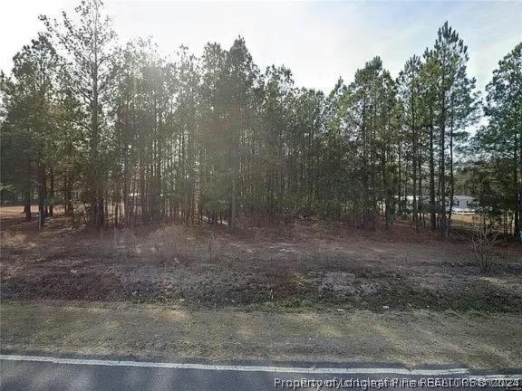 3879 GAINEY RD, RAEFORD, NC 28376, photo 1