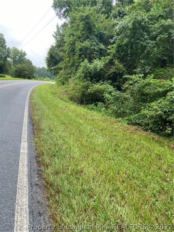 BLUE SPRINGS ROAD, RED SPRINGS, NC 28377, photo 1 of 3