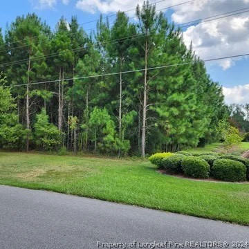 4220 FINAL APPROACH DR, EASTOVER, NC 28312, photo 2 of 5