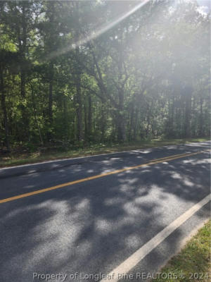 CULBERTH ROAD, LUMBER BRIDGE, NC 28357, photo 3 of 5