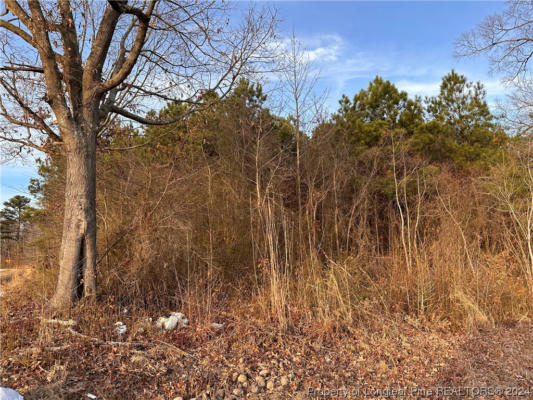 LOT 4 MIDWAY ROAD, MAXTON, NC 28364, photo 2 of 4